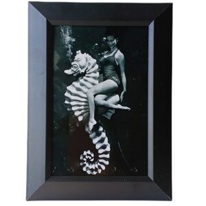 Weeki Wachee mermaid 1960 Florida Sea Side Beach Fun Framed Womam On Sea Horse